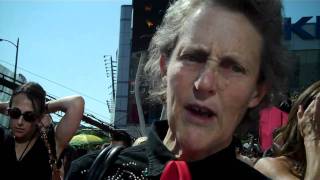 Temple Grandin at the 2010 Emmy Awards [upl. by Piers743]