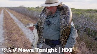 The Bounty Hunters Catching Pythons In Florida HBO [upl. by Tearle]