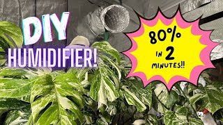 The DIY Humidifier your Plants will LOVE [upl. by Islaen]