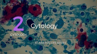 Cytology [upl. by Yoccm]