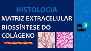 Biossíntese do Colágeno  Matriz Extracelular Histologia Humana  Bio Aulas [upl. by Dorehs432]