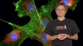 Microscopy Introduction to Fluorescence Microscopy Nico Stuurman [upl. by Searle]