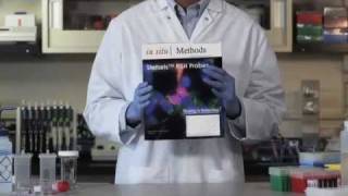 Stellaris RNA Fluorescence In Situ Hybridization FISH Probes Full Video [upl. by Nhguavad]