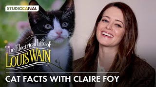 Cat Facts with Claire Foy  THE ELECTRICAL LIFE OF LOUIS WAIN [upl. by Corly978]