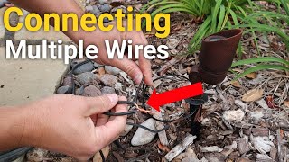 How to connect multiple wires  Landscape Lighting [upl. by Ladnar]