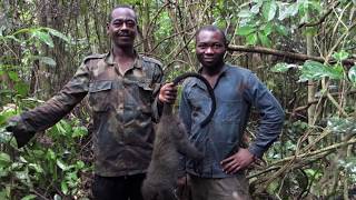 Histoire dune chasse  Cameroun [upl. by Ettennig635]