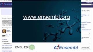 Ensembl Genome Browser [upl. by Euk979]