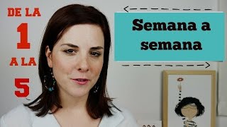 PRIMEROS SINTOMAS de EMBARAZO  PRIMER MES  SEMANAS 15 [upl. by Concha]