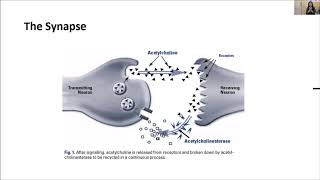 How to pronounce memantine Namenda Memorizing Pharmacology Flashcard [upl. by Yelrebmik]