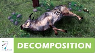 DECOMPOSITION  PART 01 [upl. by Ahtnicaj692]