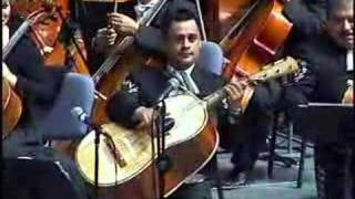 VIOLIN HUAPANGO MARIACHI VARGAS DE TECALITLAN [upl. by Nnaecyoj934]