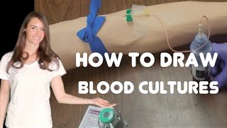 How to Collect Blood Cultures [upl. by Alegre]