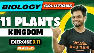 Plant Kingdom Class 11  NCERT EXERCISE 311  Biology Chapter 3  Basavaraj [upl. by Notsla]