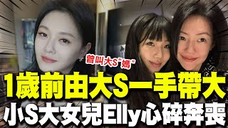 【全程字幕】感情好到震驚小S 大女兒許曦文與大S最親 1歲前由姨媽一手帶大曾喊quot媽quot [upl. by Eustache]