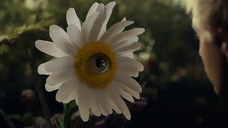 Ryan Caraveo  Daisies Official Video [upl. by Aivun]