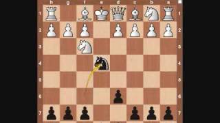 Chess Openings Petrov Defense [upl. by Eelyma]