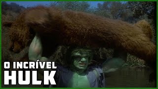 Hulk Vs Urso  O Incrível Hulk [upl. by Ranie]