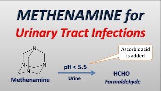 Methenamine for Urinary tract infections [upl. by Colligan]