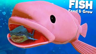 Ugly BLOBFISH vs Prehistoric Megalodon  Feed and Grow Fish [upl. by Leunas73]