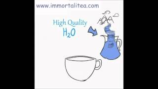 The Immortalitea Company Guide to Brewing Loose Leaf Jiaogulan Gynostemma Tea [upl. by Aicined]