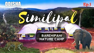 SIMILIPAL  SIMILIPAL TIGER RESERVE  BAREHIPANI NATURE CAMP  Ep01 [upl. by Enilekcaj]