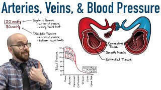 Deep Vein Thrombosis  Overview pathophysiology treatment complications [upl. by Illona]