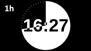 1 Hour Countdown Timer [upl. by Aubree851]