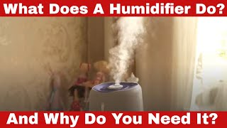 What Does a Humidifier Do Why Do You Need It [upl. by Rednaeel]