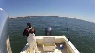 Barnegat Bay Striped Bass [upl. by Sianna]