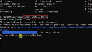 How to use WINGET in Windows 10 to install a program [upl. by Niwrehs]