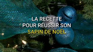 Comment décorer un sapin de Noël [upl. by Ellenig919]