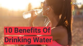 10 Benefits of Drinking Water  The Foodie [upl. by Yesnek]