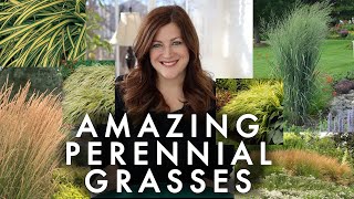 10 Perennial Grasses I Absolutely Love 🌾💚 Garden Answer [upl. by Nollat]