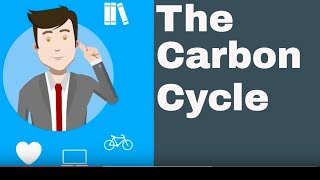 Explain the Carbon Cycle [upl. by Bee]