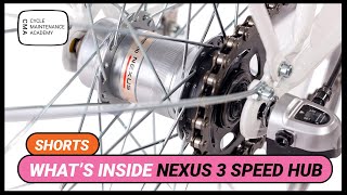 Whats inside nexus 3 speed gear hub [upl. by Nnahgiel238]