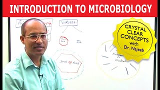 Introduction to Microbiology [upl. by Cimbura]