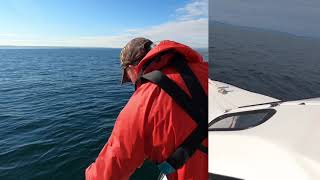 Small boat anchoring with lazy line and Alderney ring retrieval [upl. by Neiman]