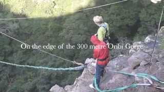 Oribi Gorge Swing  South Africa [upl. by Niamreg]