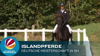 Deutsche Islandpferde Meisterschaft in Ehndorf bei Neumünster [upl. by Auhsoj]