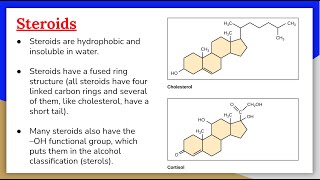 Lipids 3 Steroids Cholesterol and Steroid Hormones [upl. by Enehpets191]