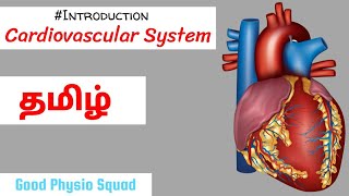 Physiology  Introduction to the Cardiovascular System in Tamil Lecture [upl. by Liam844]