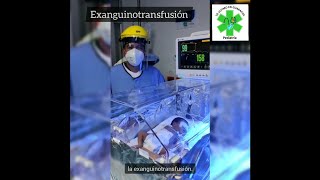 Exanguinotransfusión [upl. by Ahnavas]