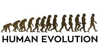 Human Evolution Animation [upl. by Ajax]