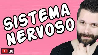 SISTEMA NERVOSO  FISIOLOGIA  Aula  Biologia com Samuel Cunha [upl. by Mccandless]