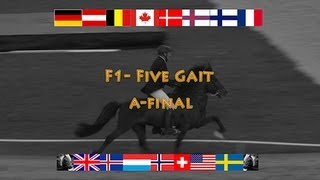 F1 Five Gait AFinal WC Icelandic Horses Islandpferde WM VM Islandshästar 2013 [upl. by Nyleikcaj]