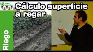 CÁLCULO SUPERFICIE A REGAR  Ejercicio de 💧 Riego [upl. by Yenitsed]