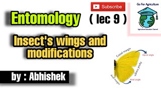 Insects Wings and its modifications  Wing coupling  Wing venation  Entomology goforagriculture [upl. by Takara]