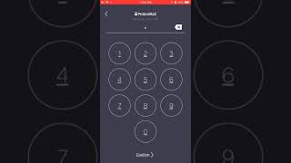 Davids Tech Tips How to Set a Security Pin in the ProtonMail iOS app [upl. by Halilahk412]