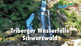 Triberger Wasserfälle  Schwarzwald  RheinEifelTV [upl. by Nieberg144]