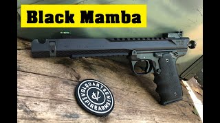 Volquartsen Black Mamba 22 Pistol Review [upl. by Karine]